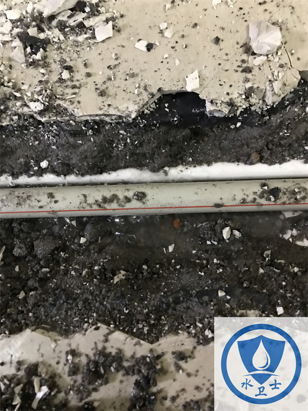 泰州家庭測(cè)漏案例